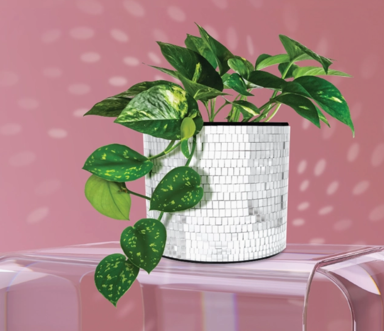 Disco Planter