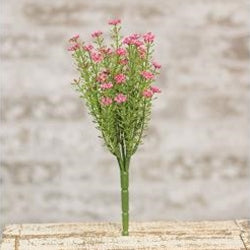 Pink Astilbe Bush, 10.5" - Simply Susan’s